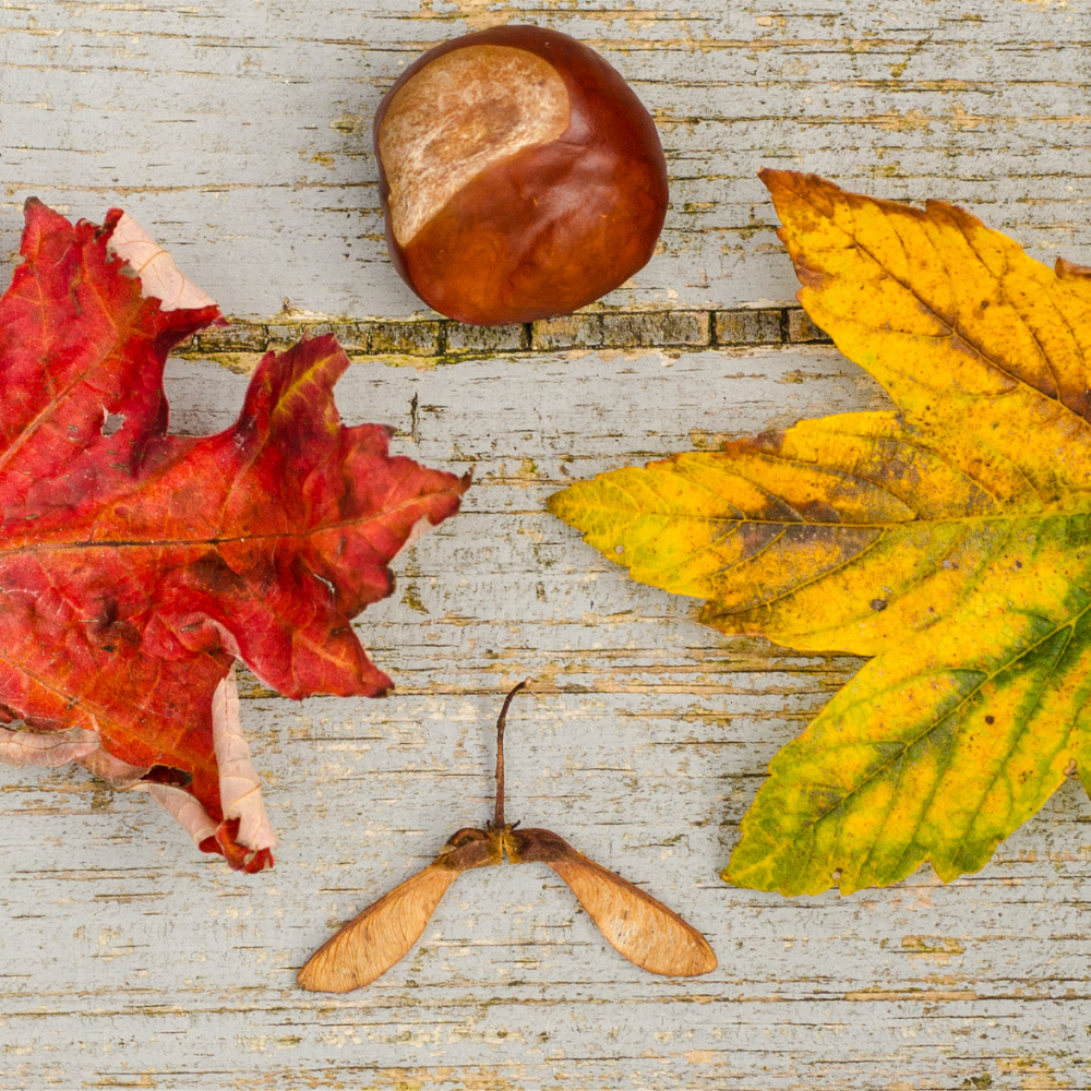 Produits de saison